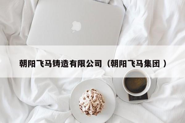 朝陽(yáng)飛馬鑄造有限公司（朝陽(yáng)飛馬集團(tuán) ）